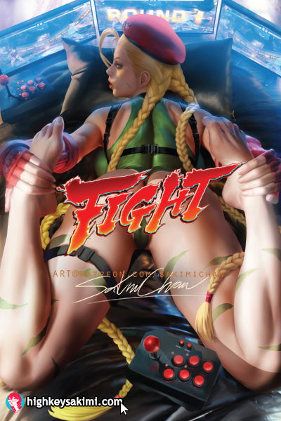 Cammy Pov Fight Poster #422